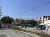20090419cy09